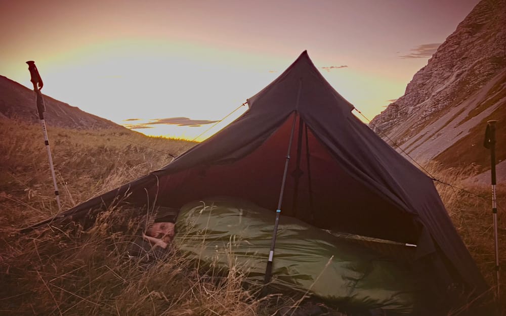 Die gezähmte Wildnis Beitragsbild