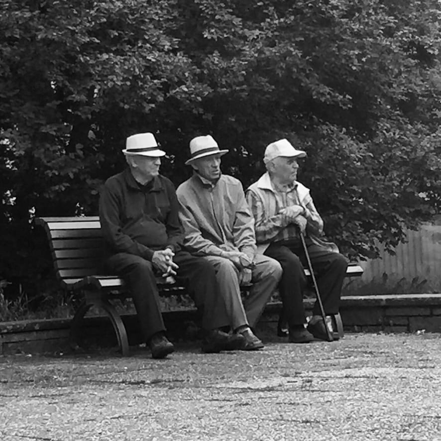 Ferale Promenadologie Beitragsbild